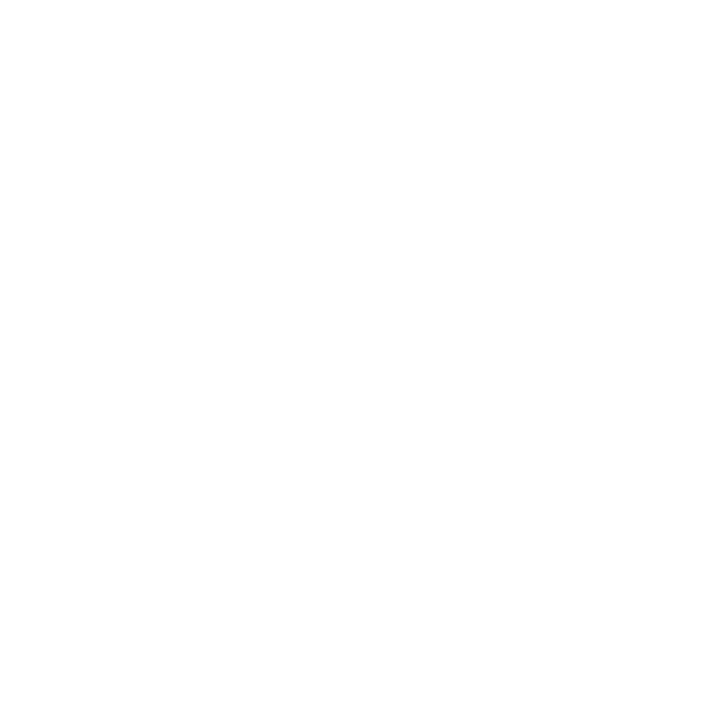 ФСО «Страйкбол»